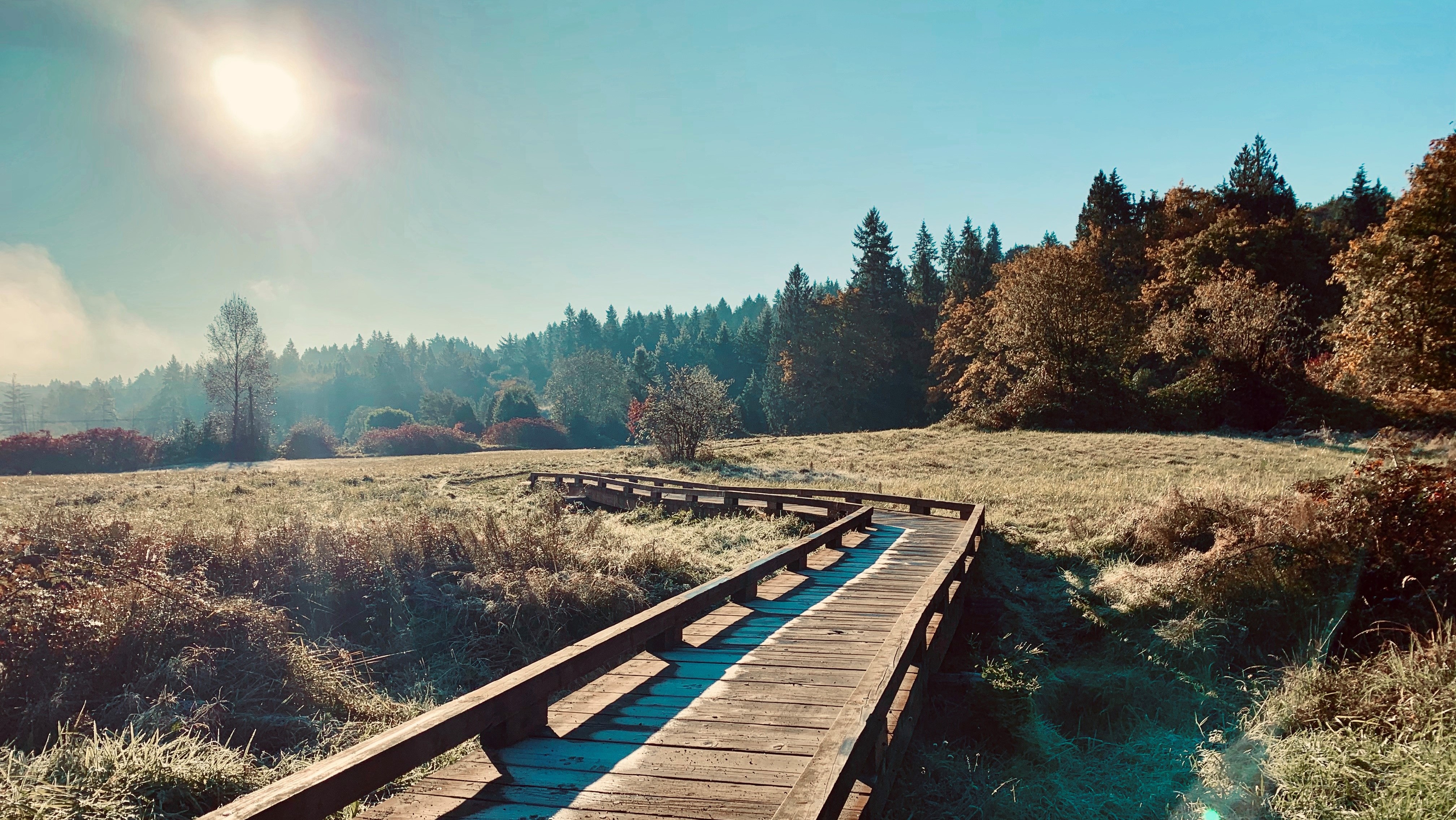 Sammamish Town Center near City Hall Plaza — a community hub where the Trunk or Treat event will take place.